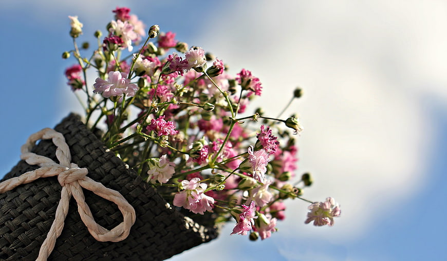 Pink Dianthus Flowers in Woven Basket Against Blue Sky