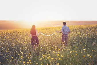 Couple Walking in Yellow Flower Field at Sunset