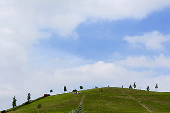 Green grassy hill with trees and blue sky