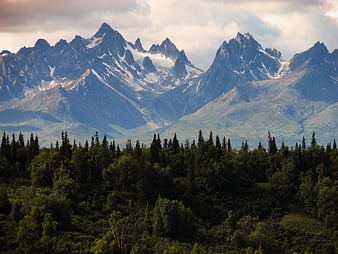 Majestic Snow-Capped Mountain Peaks Above Dense Green Forest