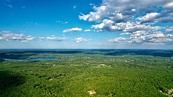 Aerial View of Lush Green Forest and Lake Under Blue Sky