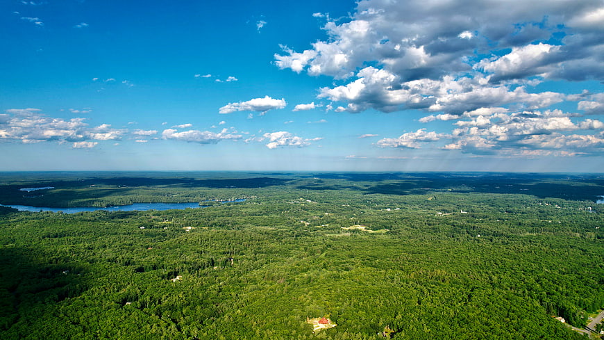 Aerial View of Lush Green Forest and Lake Under Blue Sky