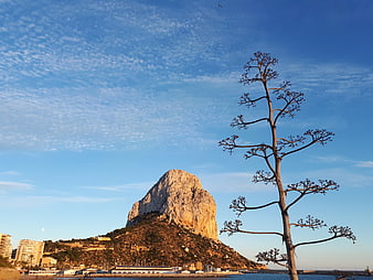 Peñón de Ifach Rock in Calpe, Spain with Agave Tree