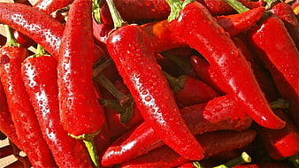 Fresh Red Chili Peppers with Water Droplets