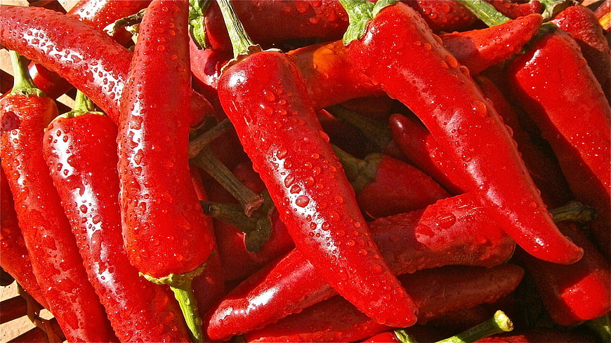 Fresh Red Chili Peppers with Water Droplets