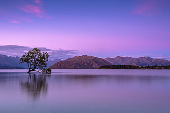 Solitary Tree in Lake with Purple Sunset Sky and Mountains