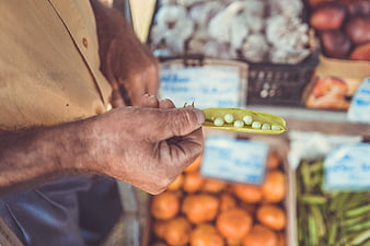 Farmer holding fresh green peas at organic market