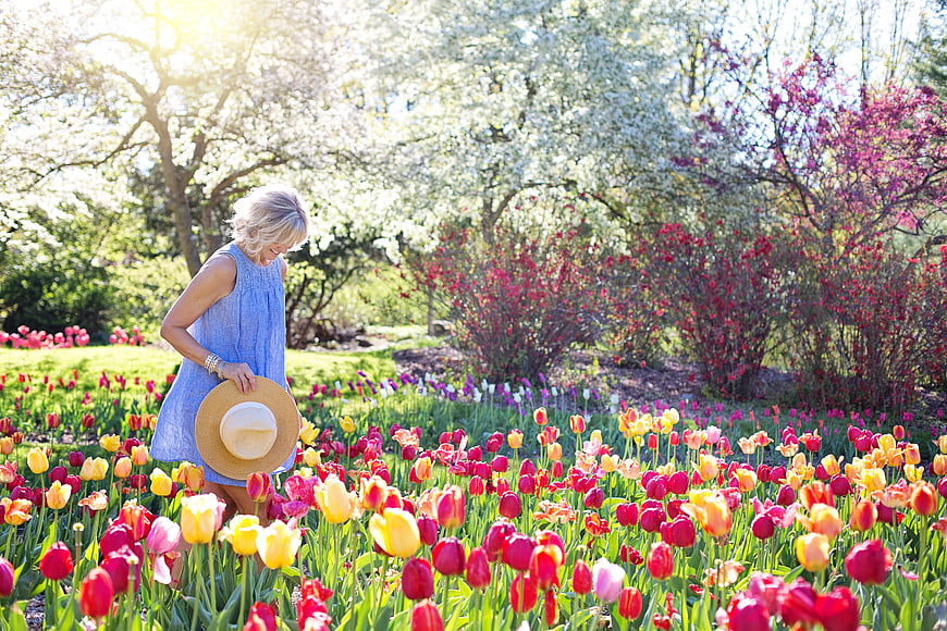Woman in Blue Dress Walking Through Vibrant Tulip Garden