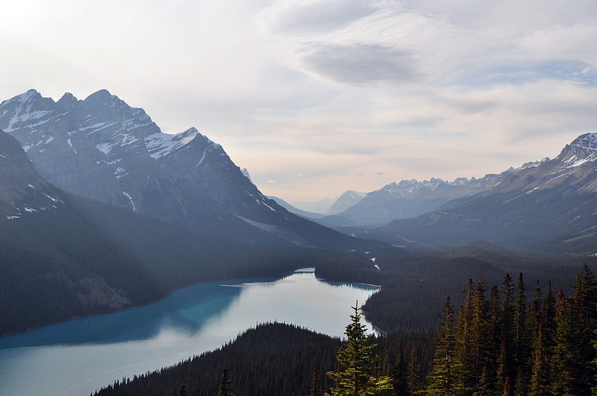 Scenic View of Peyto Lake and Canadian Rockies Mountains