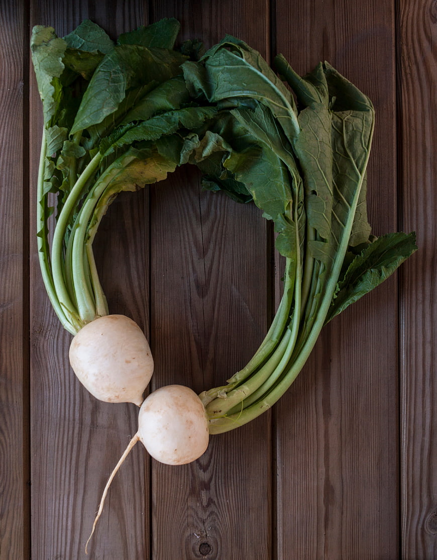 Fresh Turnips Arranged in Heart Shape on Wooden Background