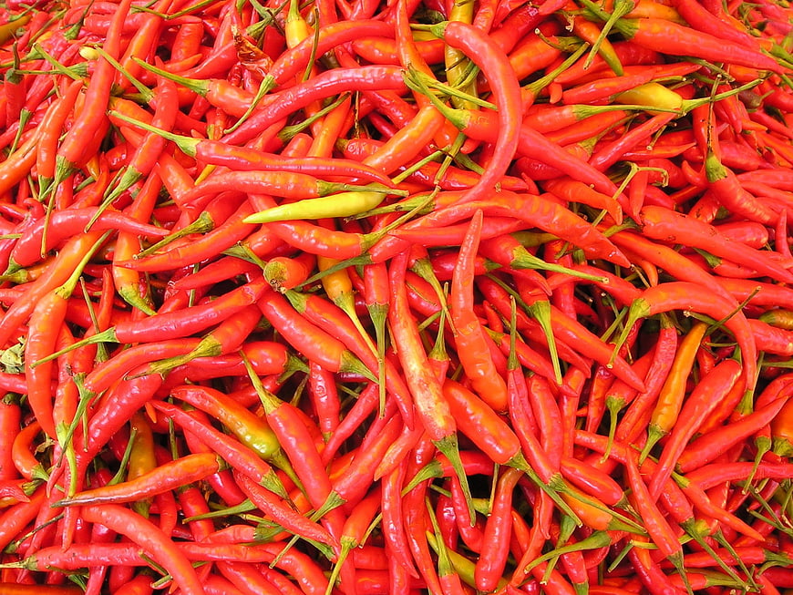 Vibrant Pile of Fresh Red Chili Peppers