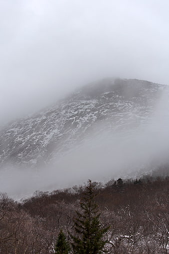 Misty Snow-Covered Mountain Peak with Winter Forest