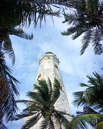 Historic stone lighthouse framed by tropical palm trees against blue sky