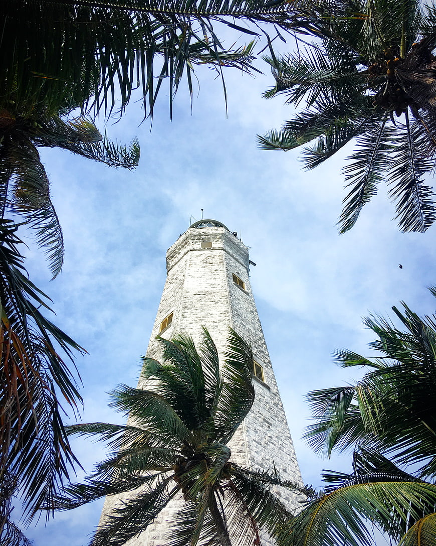 Historic stone lighthouse framed by tropical palm trees against blue sky