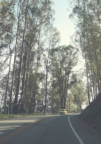 Vintage yellow car driving on winding forest road