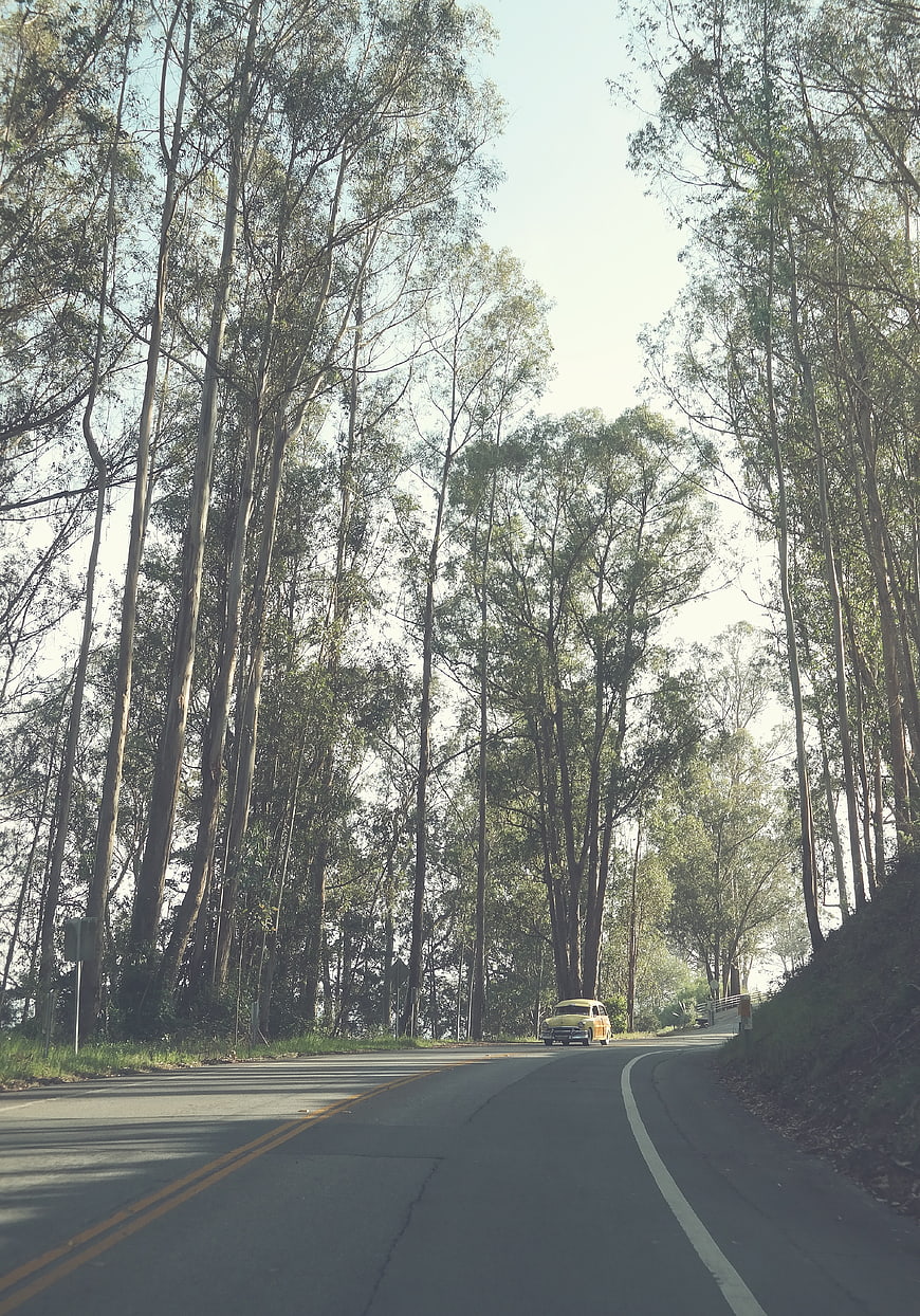 Vintage yellow car driving on winding forest road