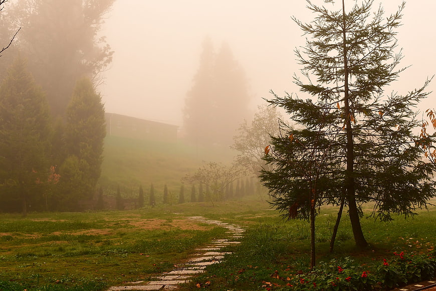 Misty stone path winding through foggy garden with trees