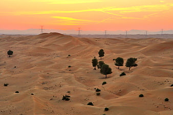 Desert landscape with sand dunes, trees, and power lines at sunrise