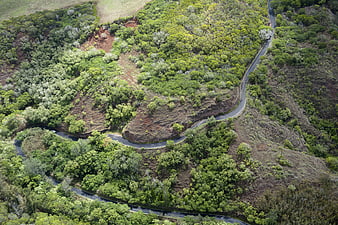 Aerial view of winding road through lush green forest landscape