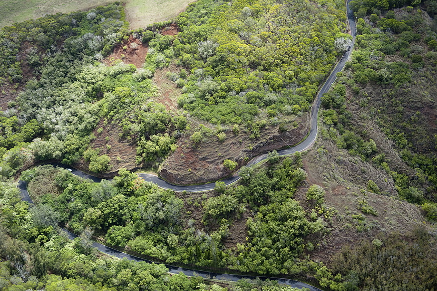 Aerial view of winding road through lush green forest landscape