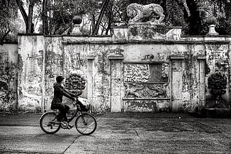 Woman Riding Bicycle Past Ornate Greyscale Wall
