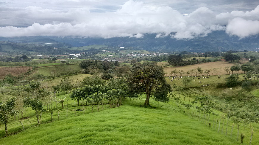 Panoramic View of Lush Green Hills and Rolling Pastures