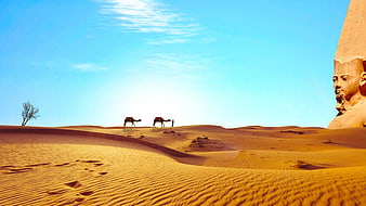 Camels walking in desert near giant pharaoh statue