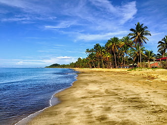 Tropical beach with palm trees and blue ocean waves