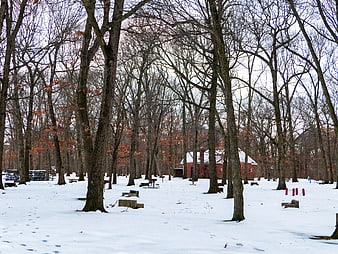 Snowy Winter Park with Bare Trees and Red Barn