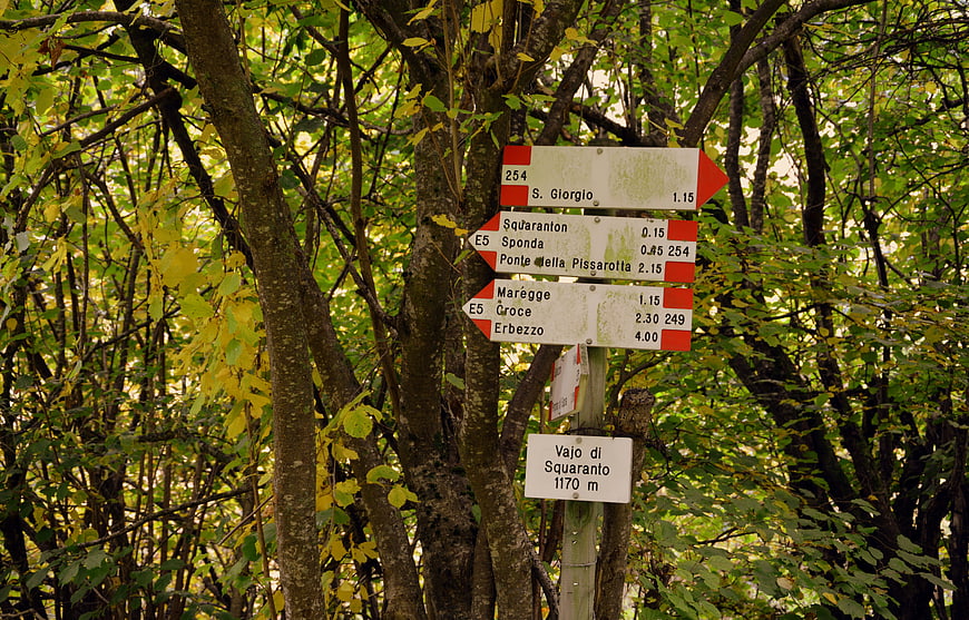 European Path E5 Hiking Signpost In Italian Forest