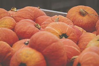 Close-up of orange pumpkins in a wooden crate for autumn harvest