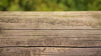 Weathered wooden table surface with blurred green background