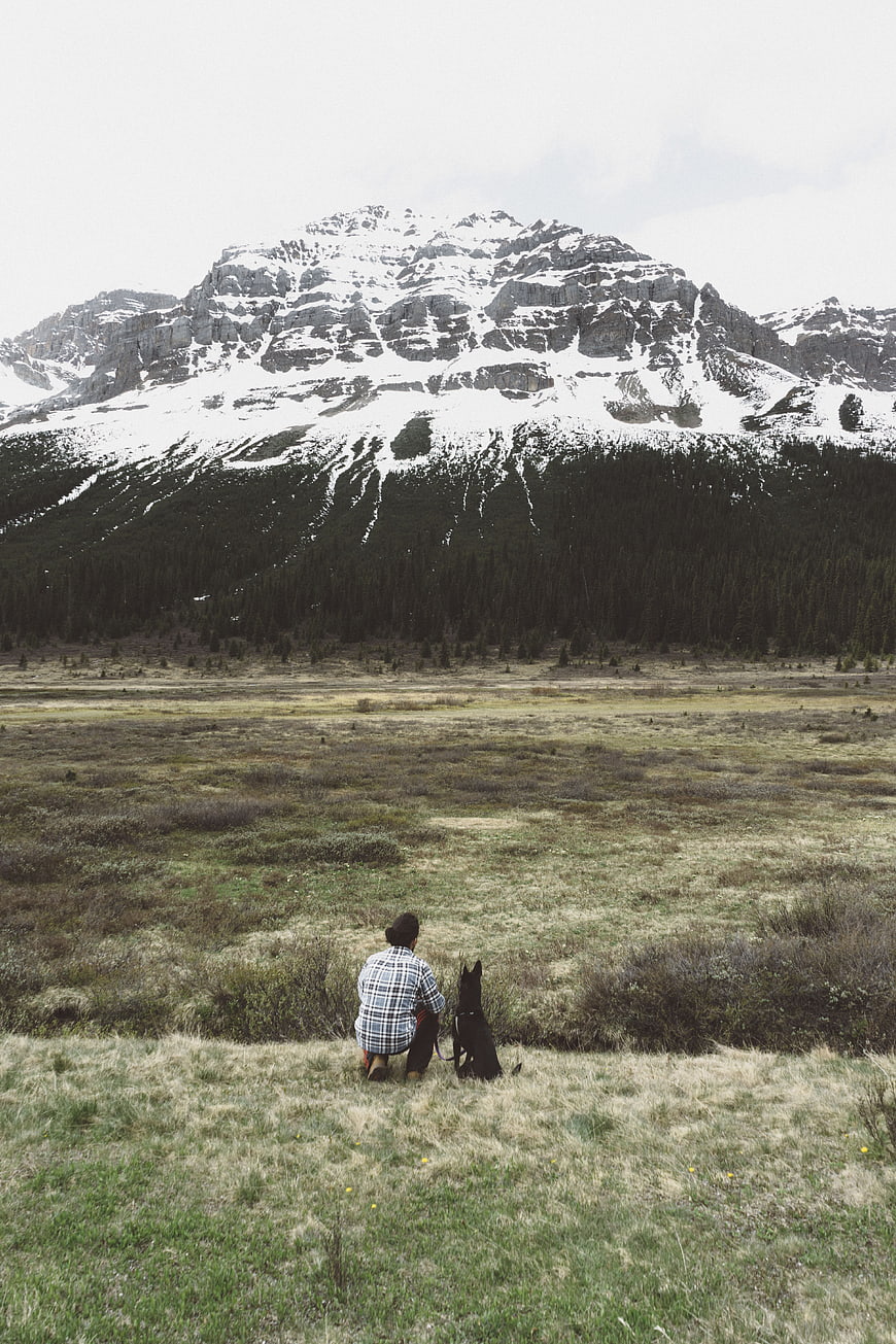 Man and Dog Sitting in Mountain Meadow Landscape