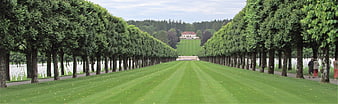 Panoramic view of military cemetery with white crosses and tree-lined path