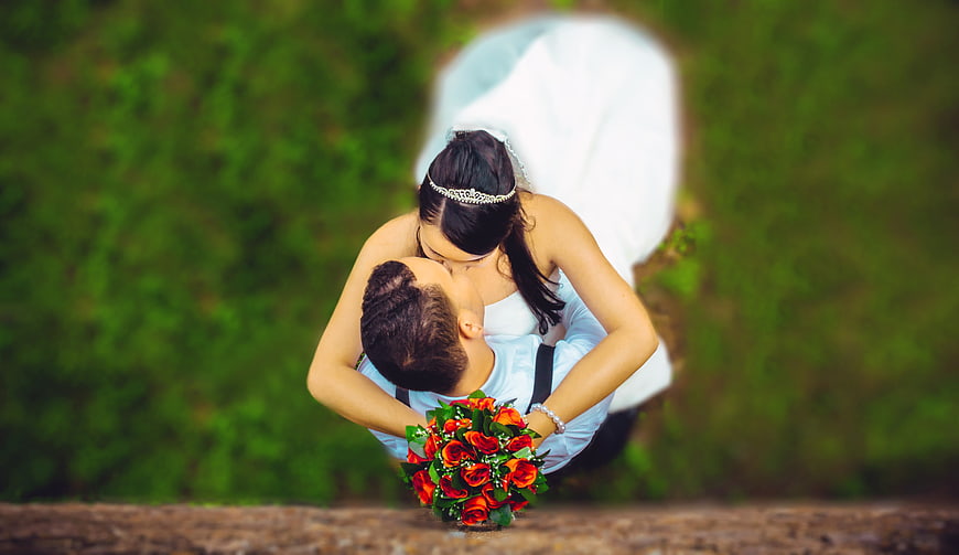 Romantic Wedding Couple Kissing With Red Roses In Green Garden