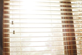 Bright Sunlight Streaming Through Horizontal Window Blinds