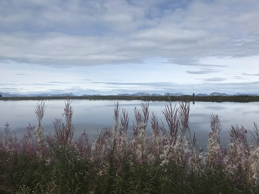 Serene Lake Landscape with Wildflowers and Distant Mountains