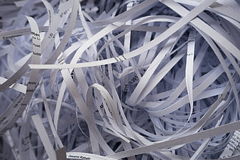 Close-up of shredded paper strips with visible text fragments