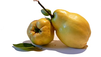 Two Fresh Quince Fruits With Green Leaves On White Background