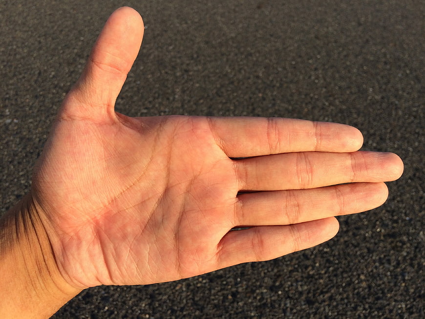 Close-up of open human palm with visible lines