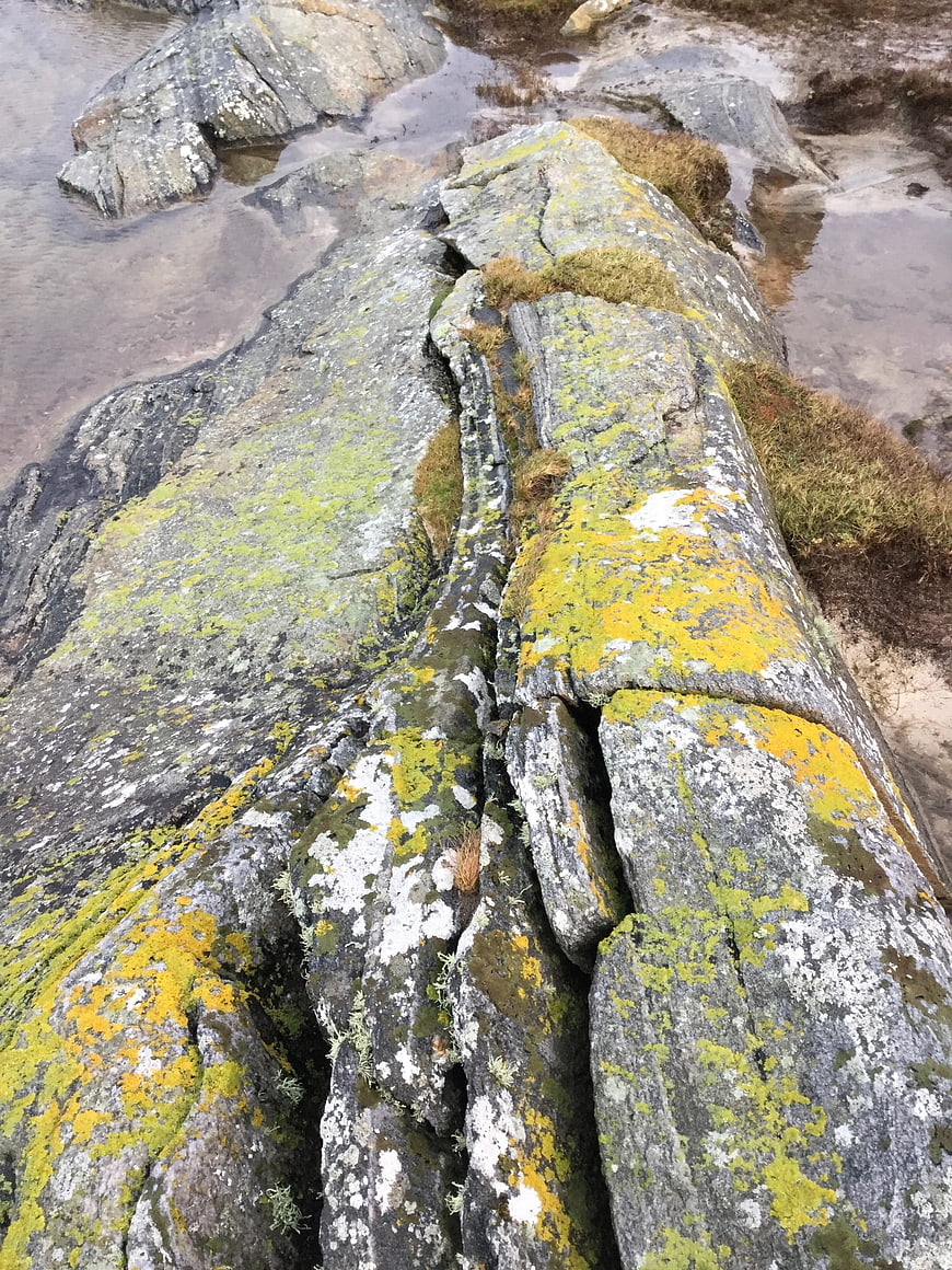 Lichen-covered rocks by the water in Scotland