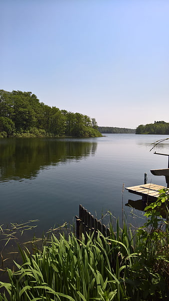 Serene Lake View with Wooden Dock and Reeds