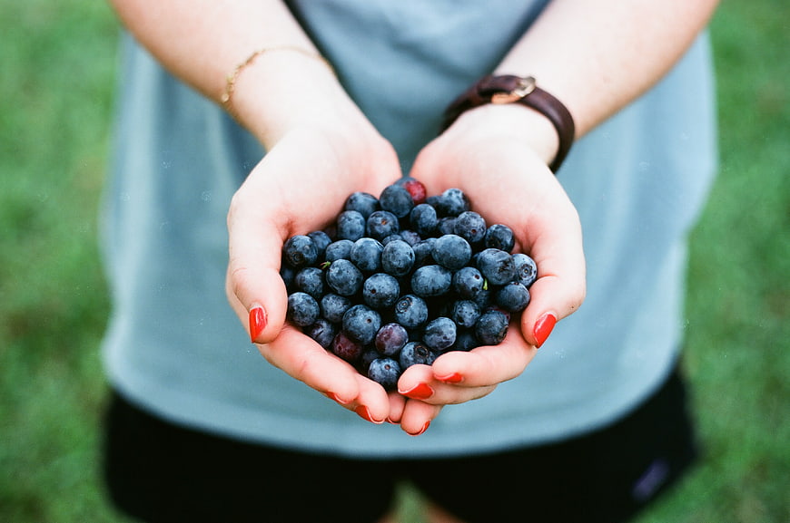 Woman holding fresh blueberries in cupped hands outdoors