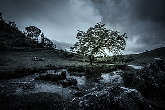 Moody landscape with stream, tree, and dramatic sky