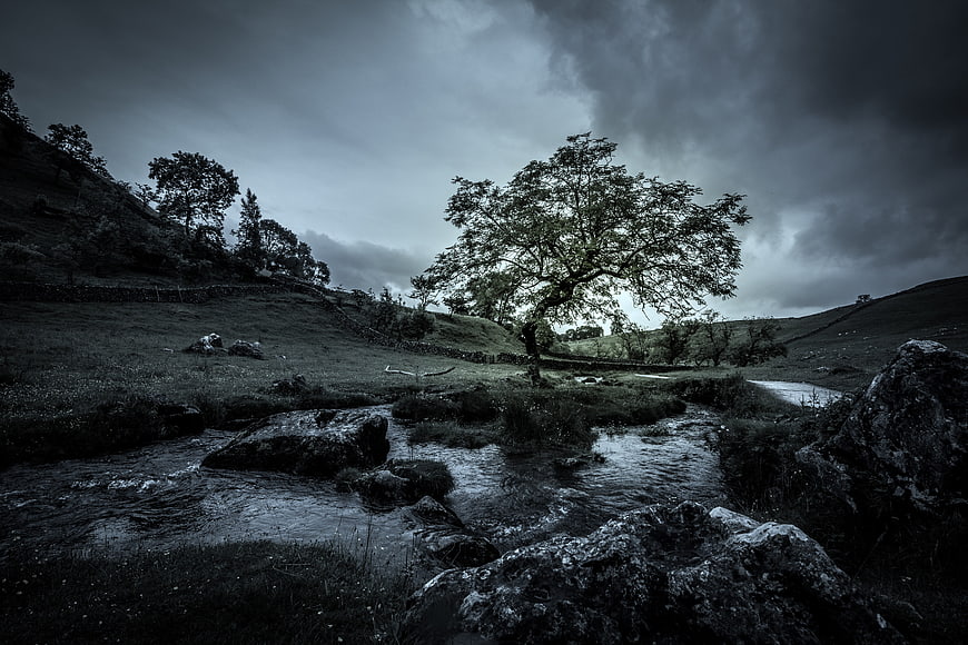 Moody landscape with stream, tree, and dramatic sky