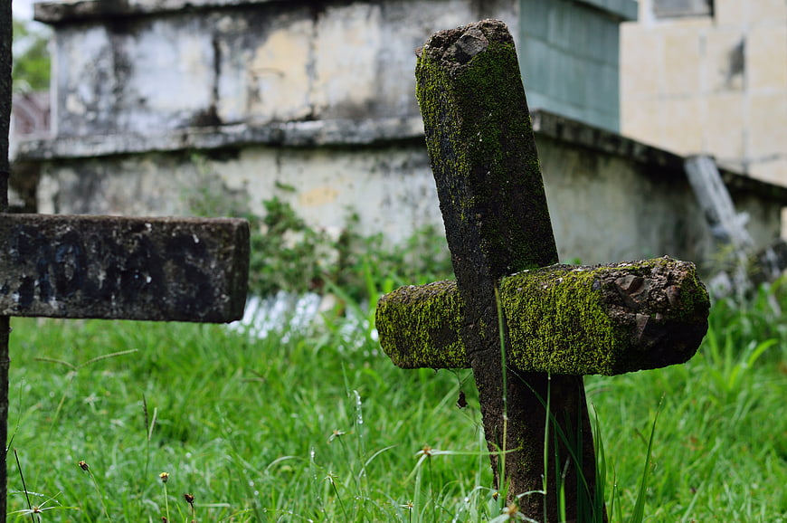 Moss-covered wooden cross in overgrown cemetery