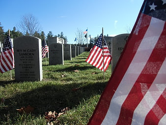 American flags planted at military graves in a cemetery