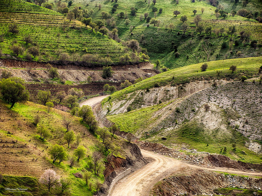Winding dirt road through lush green terraced hills