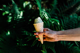 Hand holding ice cream cone against green fern background