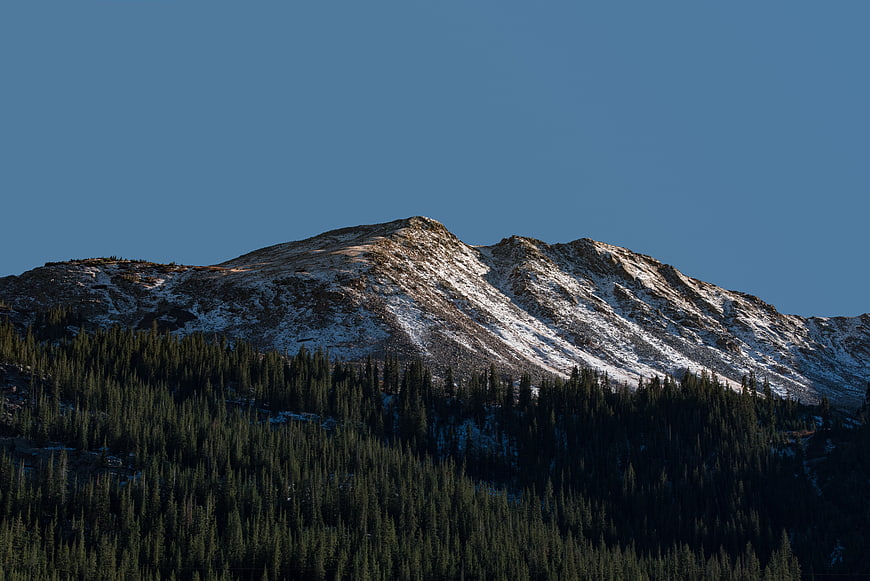 Snow-capped mountain peak with pine forest and blue sky